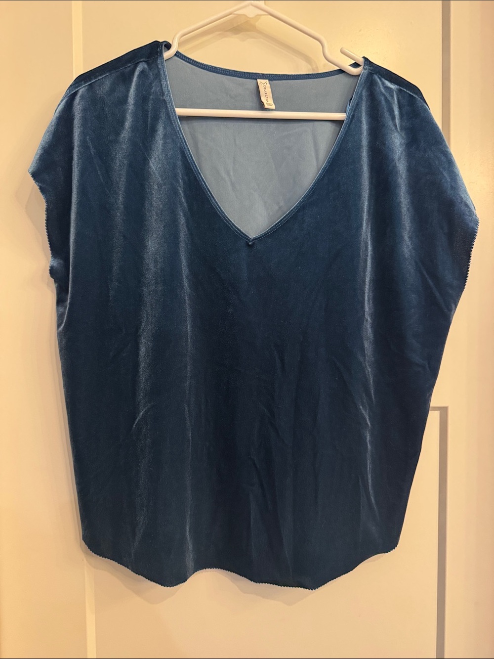 Gentle Fawn Velvet V-Neck Top in Teal Blue
